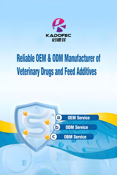 OEM & ODM t