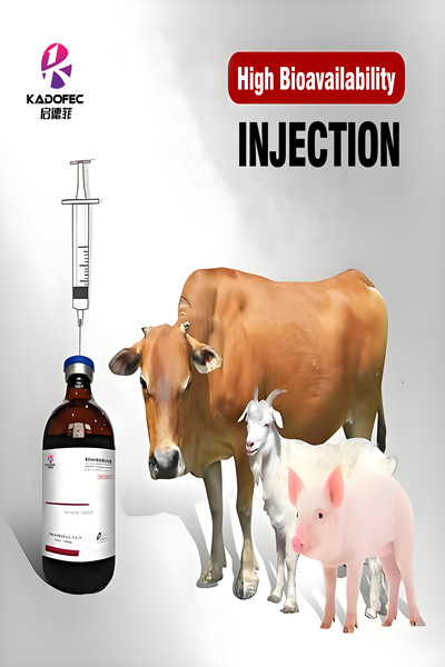 Liquid Injectiont