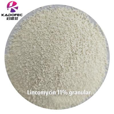 11% Lincomycin Premix