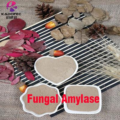 Fungal Amylase