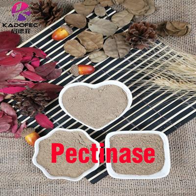 Pectinase